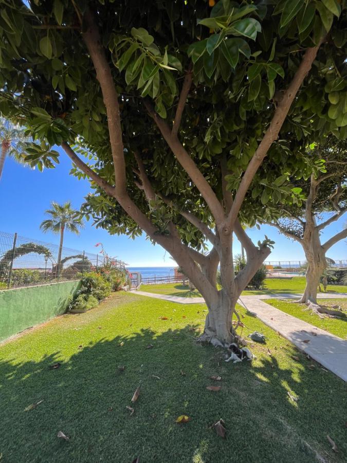 Studio On The Beach Front Malaga Bagian luar foto
