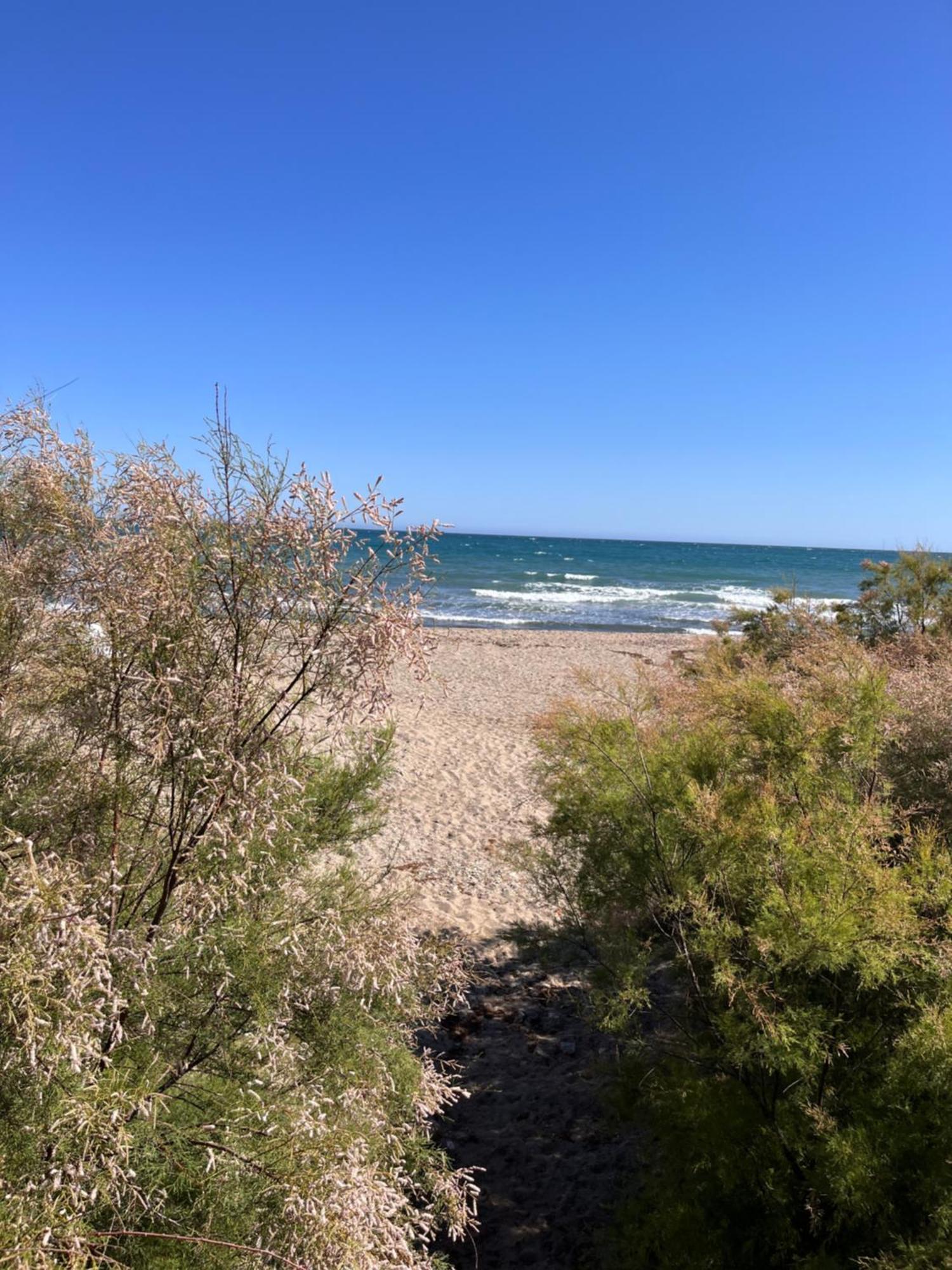 Studio On The Beach Front Apartment Malaga Bagian luar foto